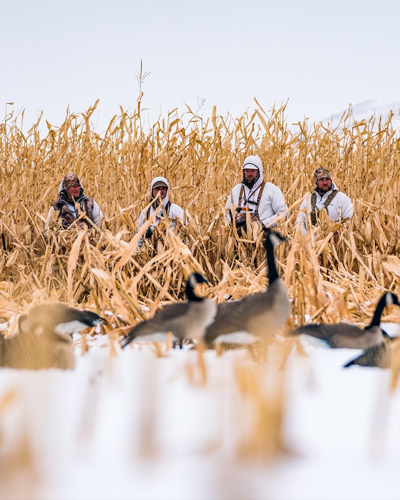 crop data layers for waterfowl hunting