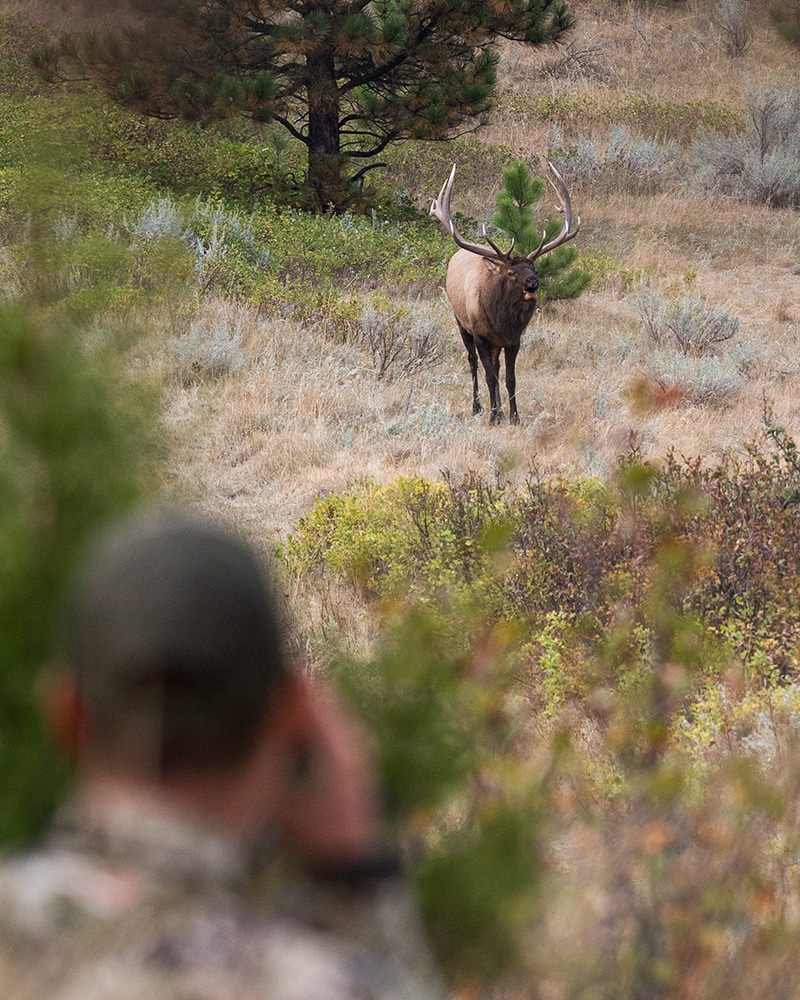 crop data layers for big game hunting