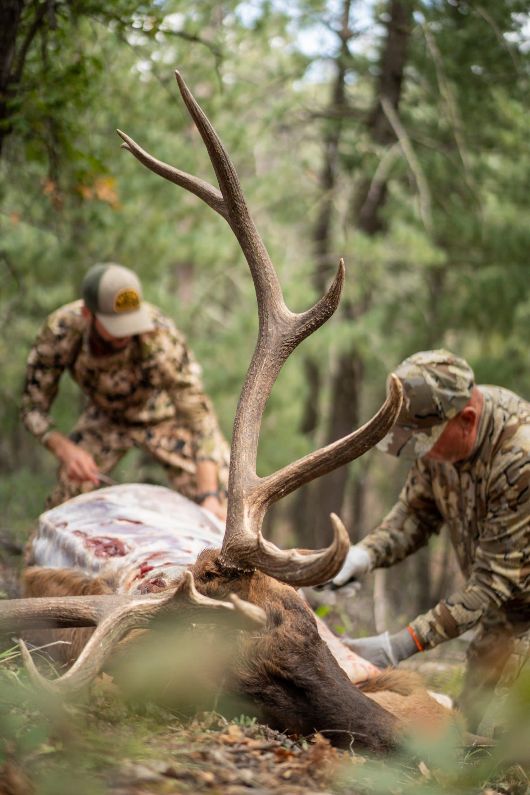 Hunting Maps on  in 2D or 3D with the Desktop App onX Hunt