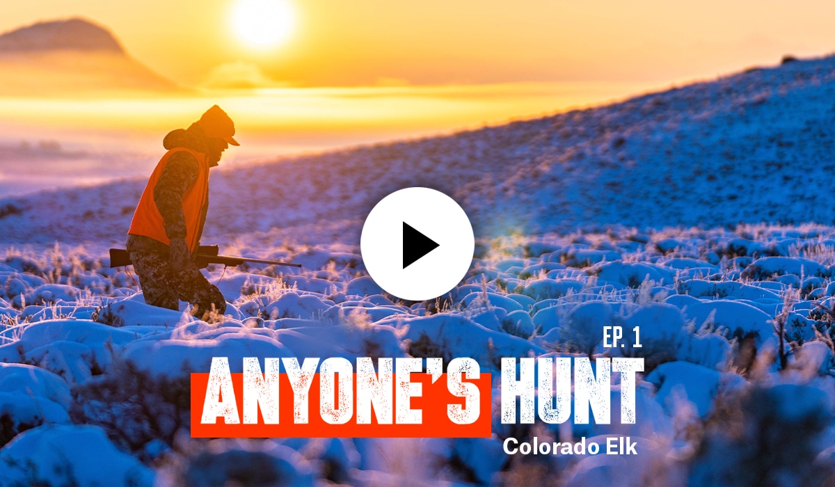 A man walks through snowy sagebrush. A video player button and "Ep. 1 Anyone's Hunt Colorado Elk" overlays the image.