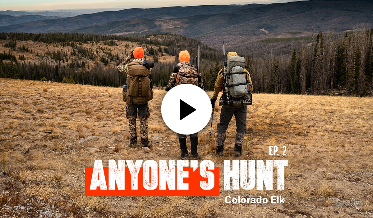 Three backcountry hunters stand in a line facing out into the vast wilderness. A video player button and "Ep. 2 Anyone's Hunt Colorado Elk" overlays the image.