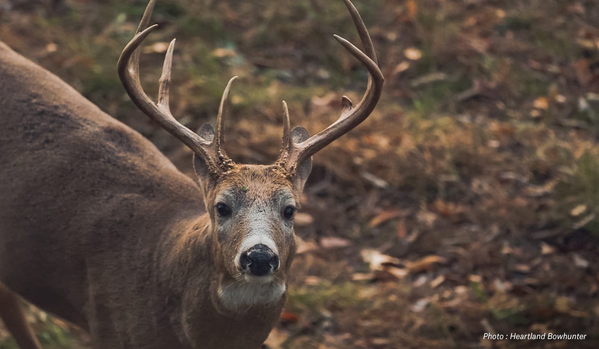 onX Hunt Fall Hunting Strategy for Whitetail