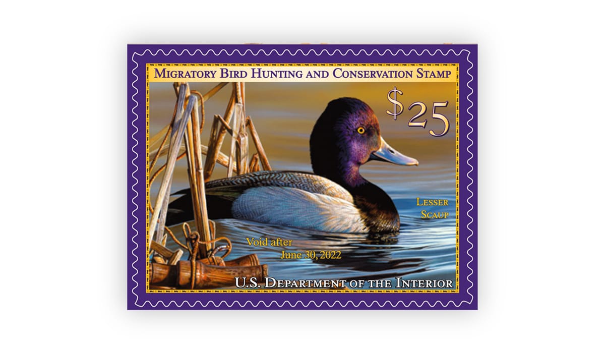 The Federal Duck Stamp