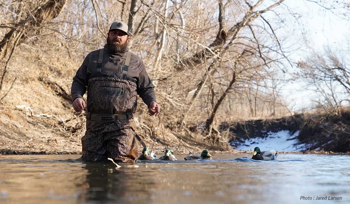 A male hunter walks through a creek with duck decoys.