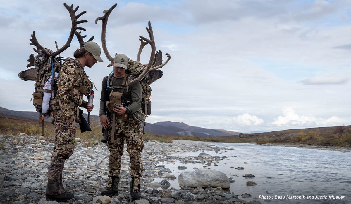 Hunt Multiple Species in Alaska - Caribou