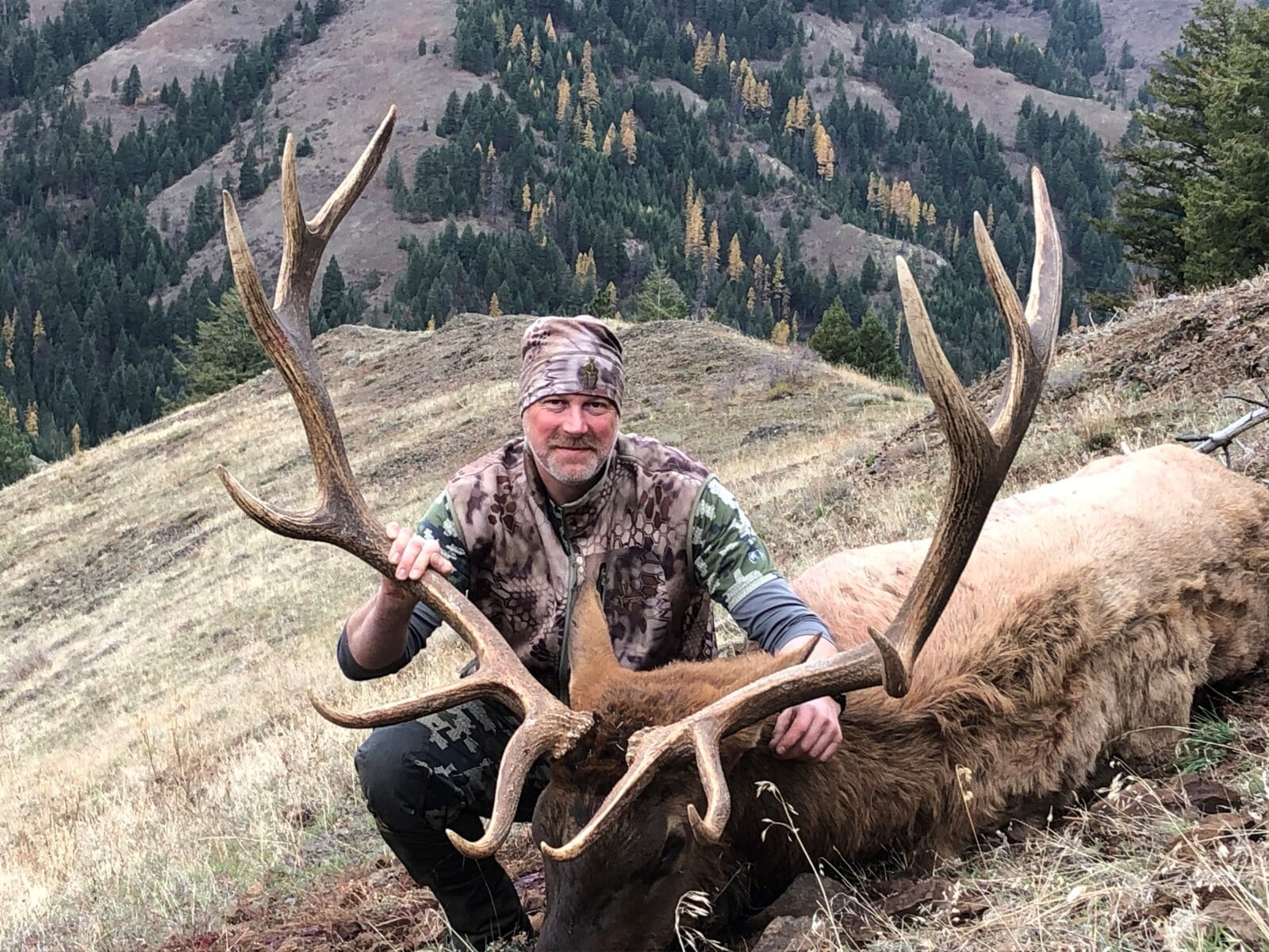 A man poses with the bull elk he harvested. Mountains with pines and a few larches sit in the background.