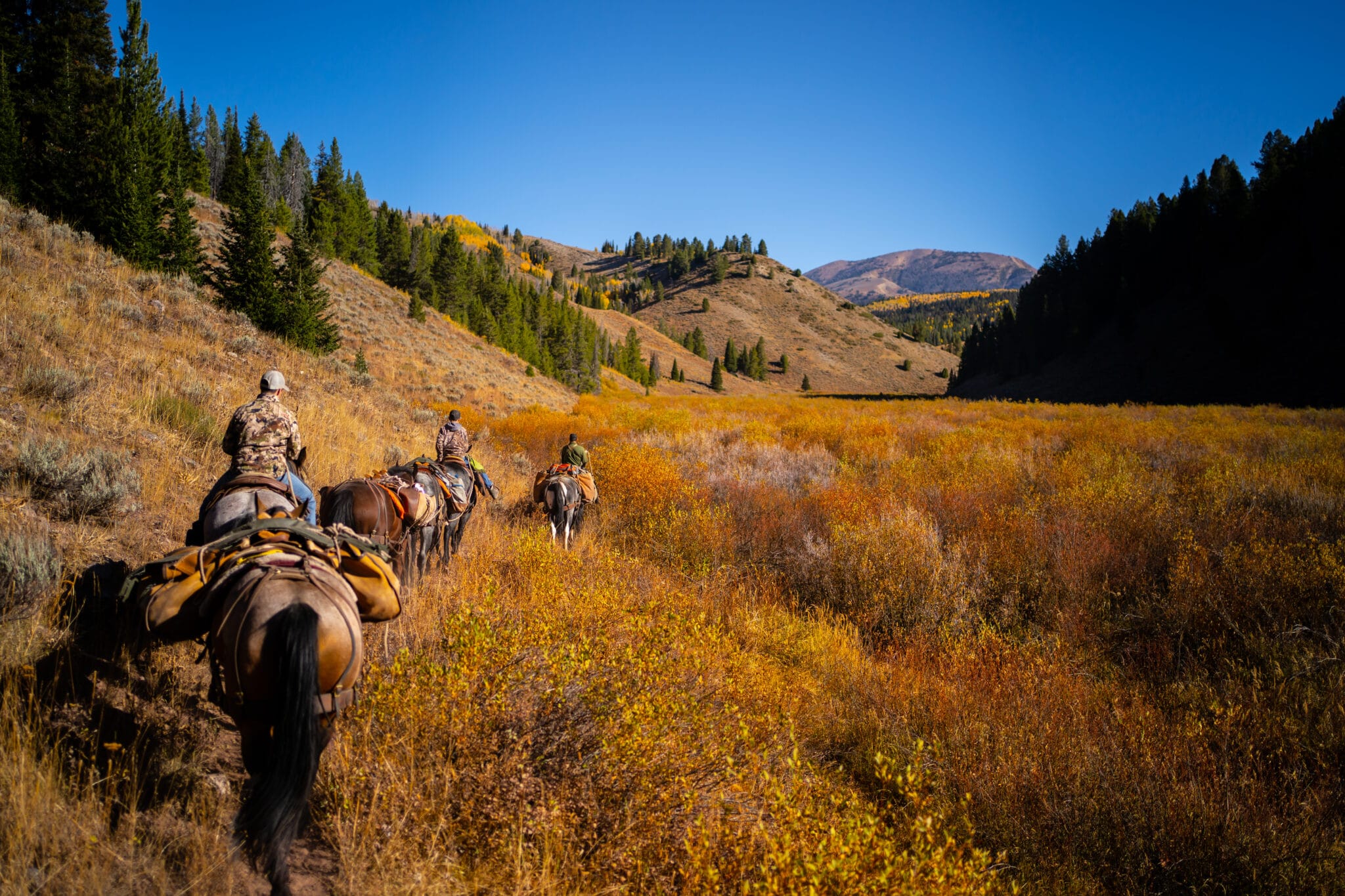 How To Draw Hunting Tags Every Year with Huntin' Fool onX Hunt