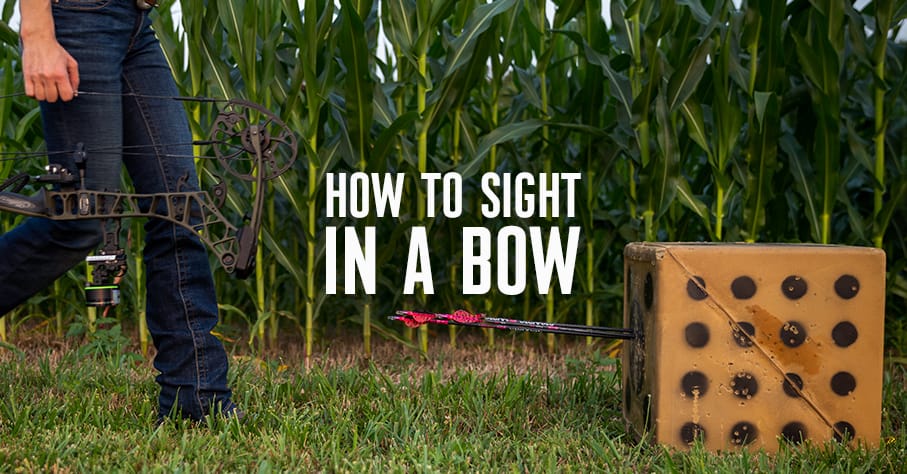 How to sight in a new bow