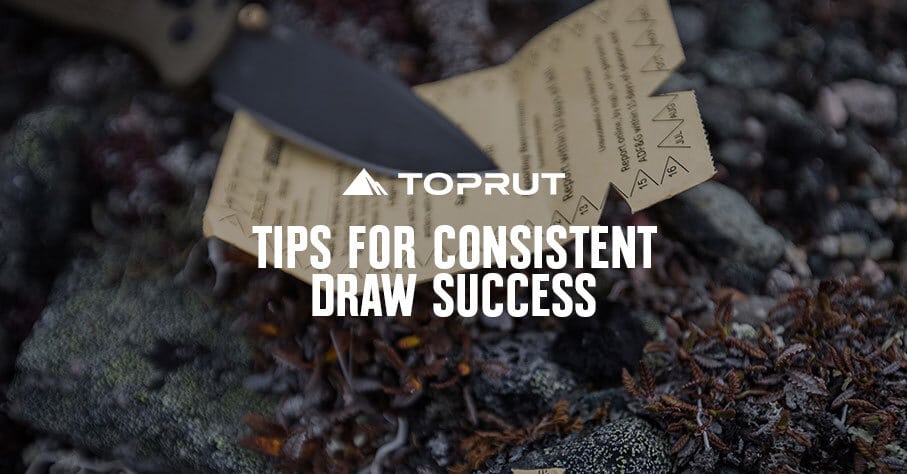 Toprut Consistent Success Featured Image