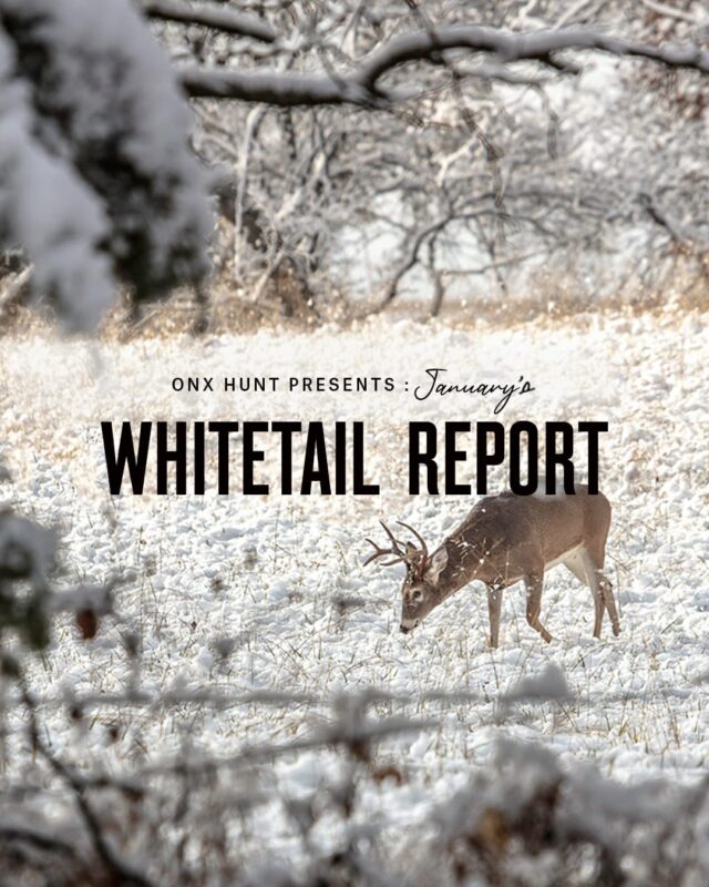 onX January Whitetail Report - Winter Kill