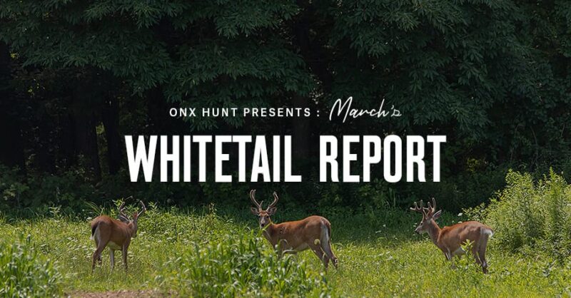 Whitetail Report - March - onX Hunt