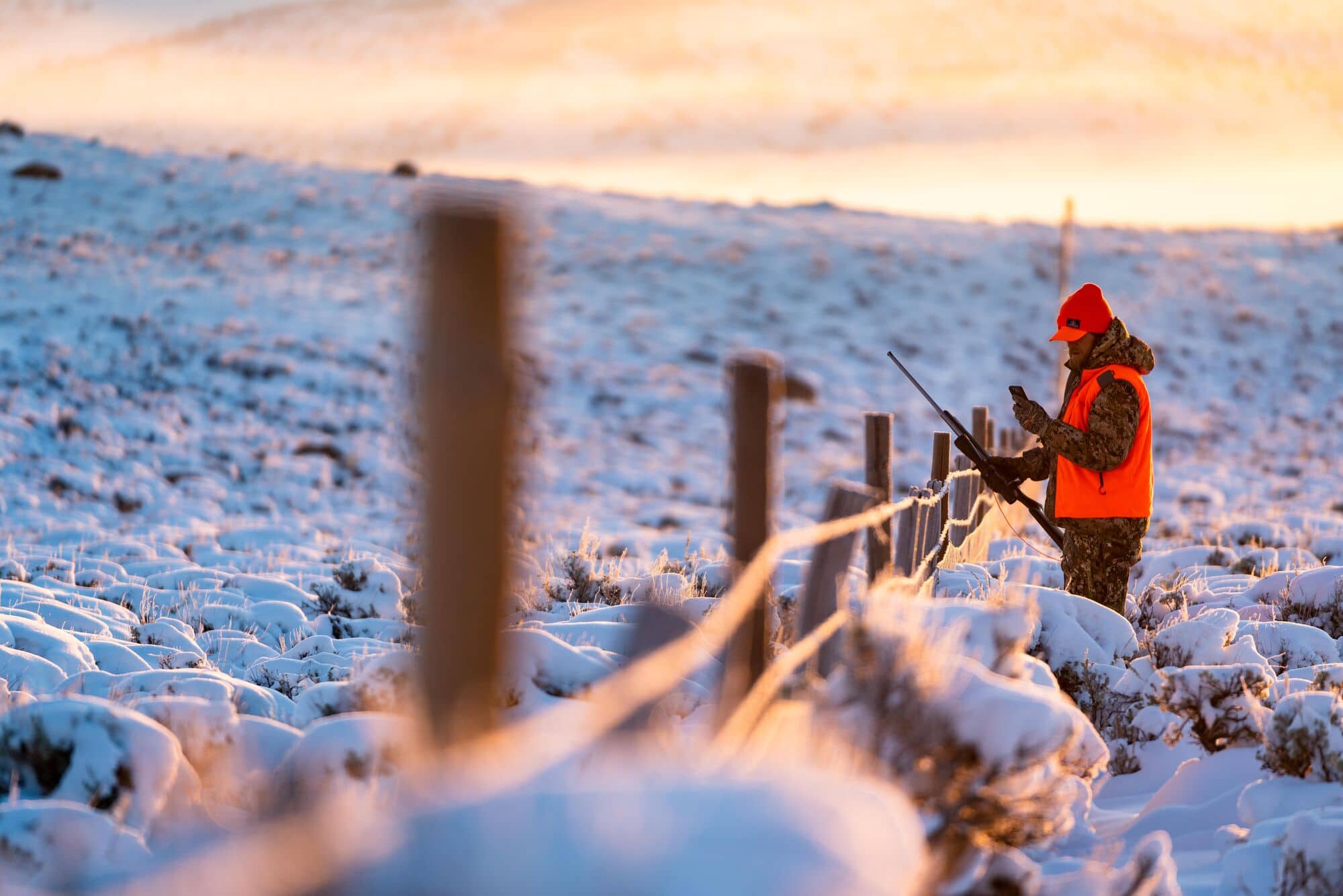 Colorado Big Game Draw How To Secure Colorado Elk Tags onX Hunt