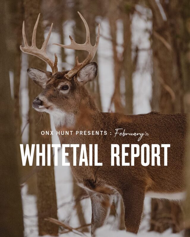 onX Whitetail Report - February - featured