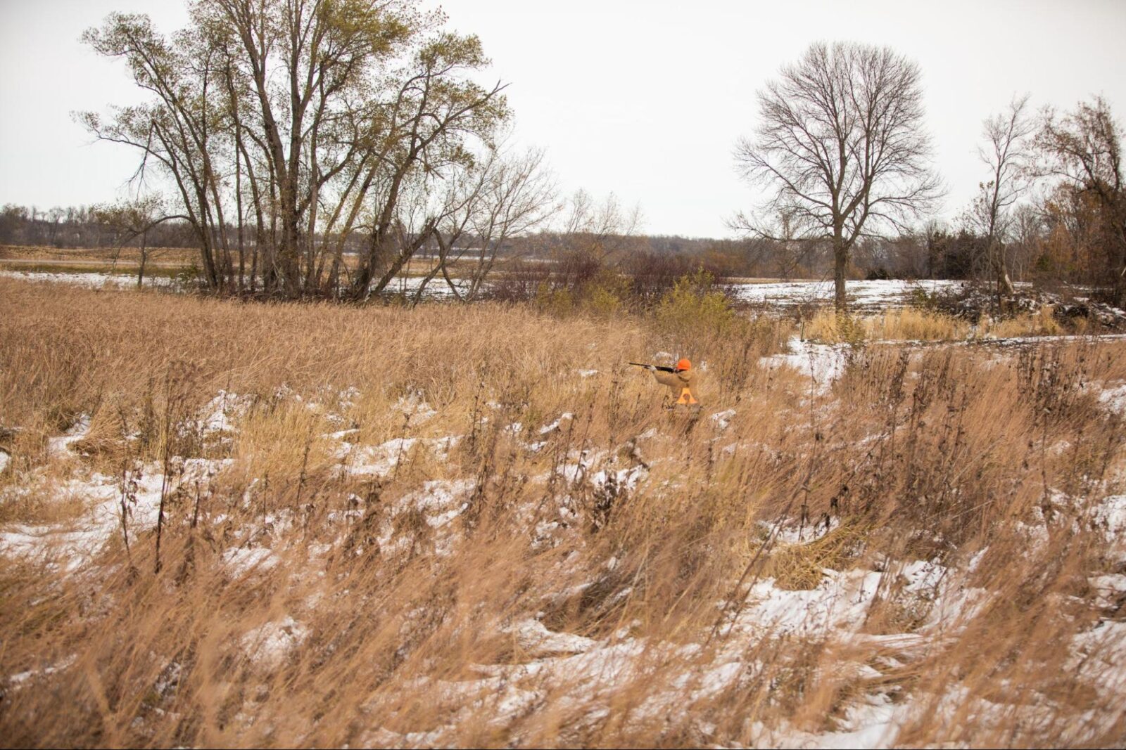 An pheasant hunter raises a shotgun in a field