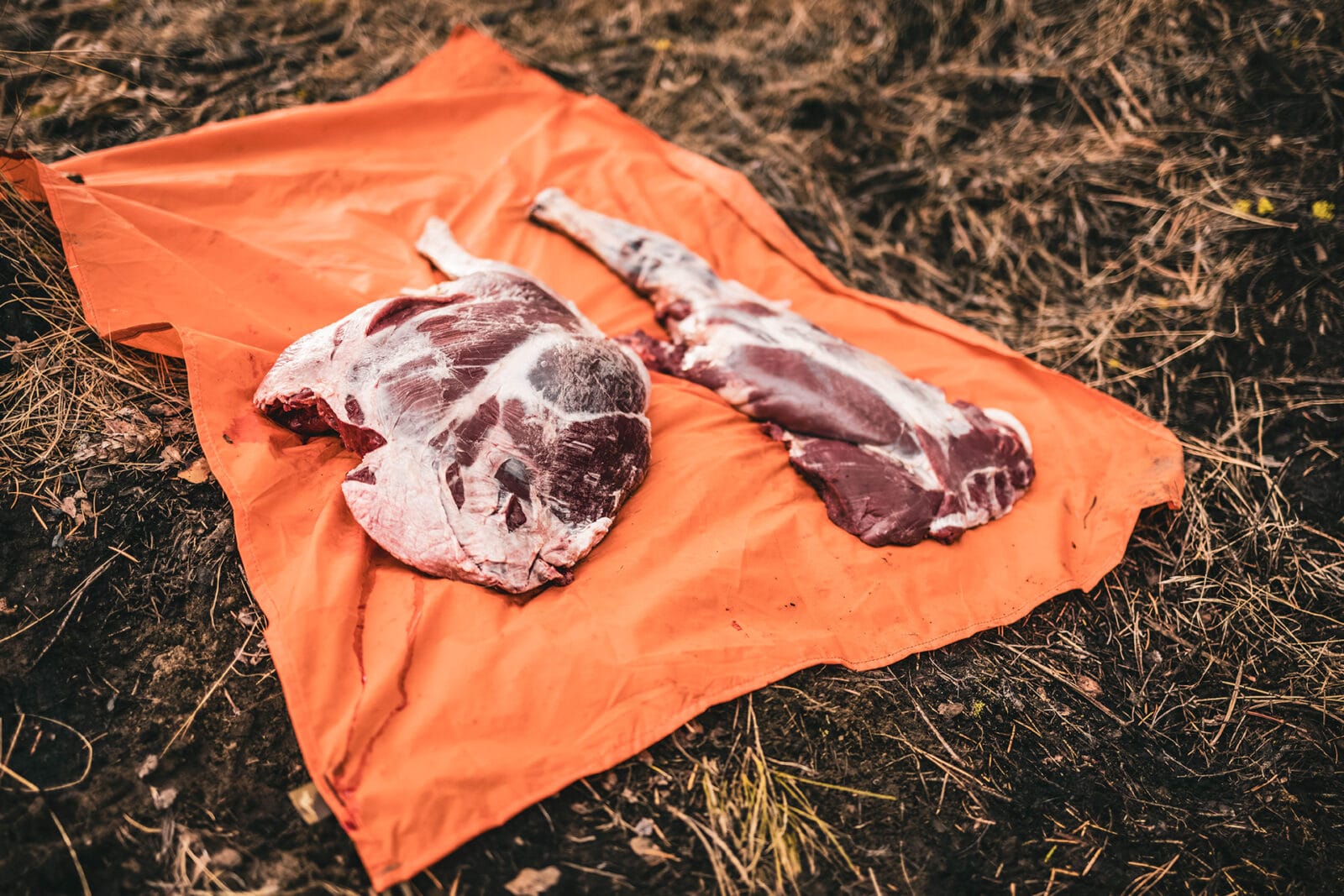 Two cuts of wild game meat lay on a orange tarp on top of grass.