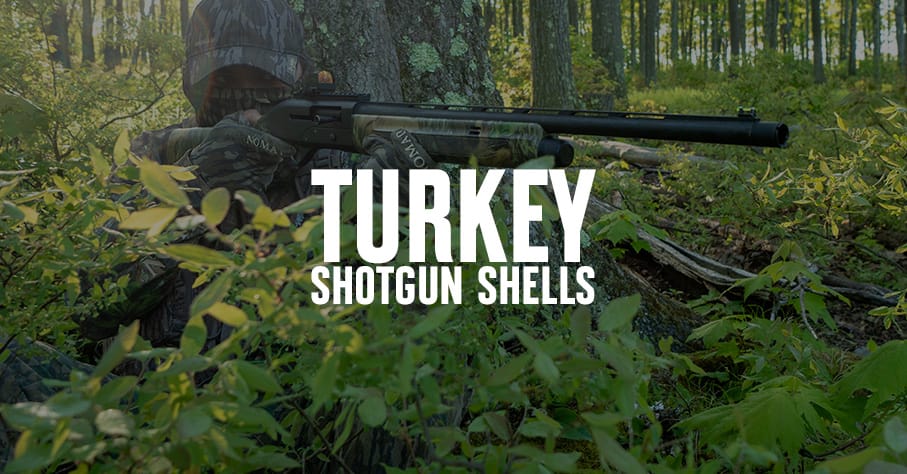 Turkey Shotgun Shells