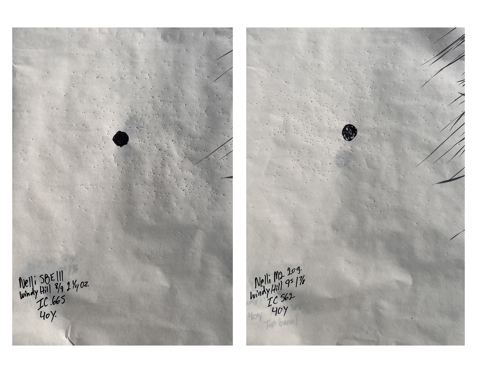 A side-by-side comparison of two different turkey shotgun patterns.