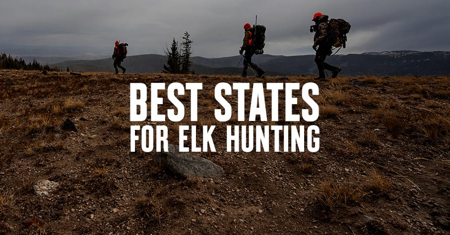 Best States for Elk Hunting