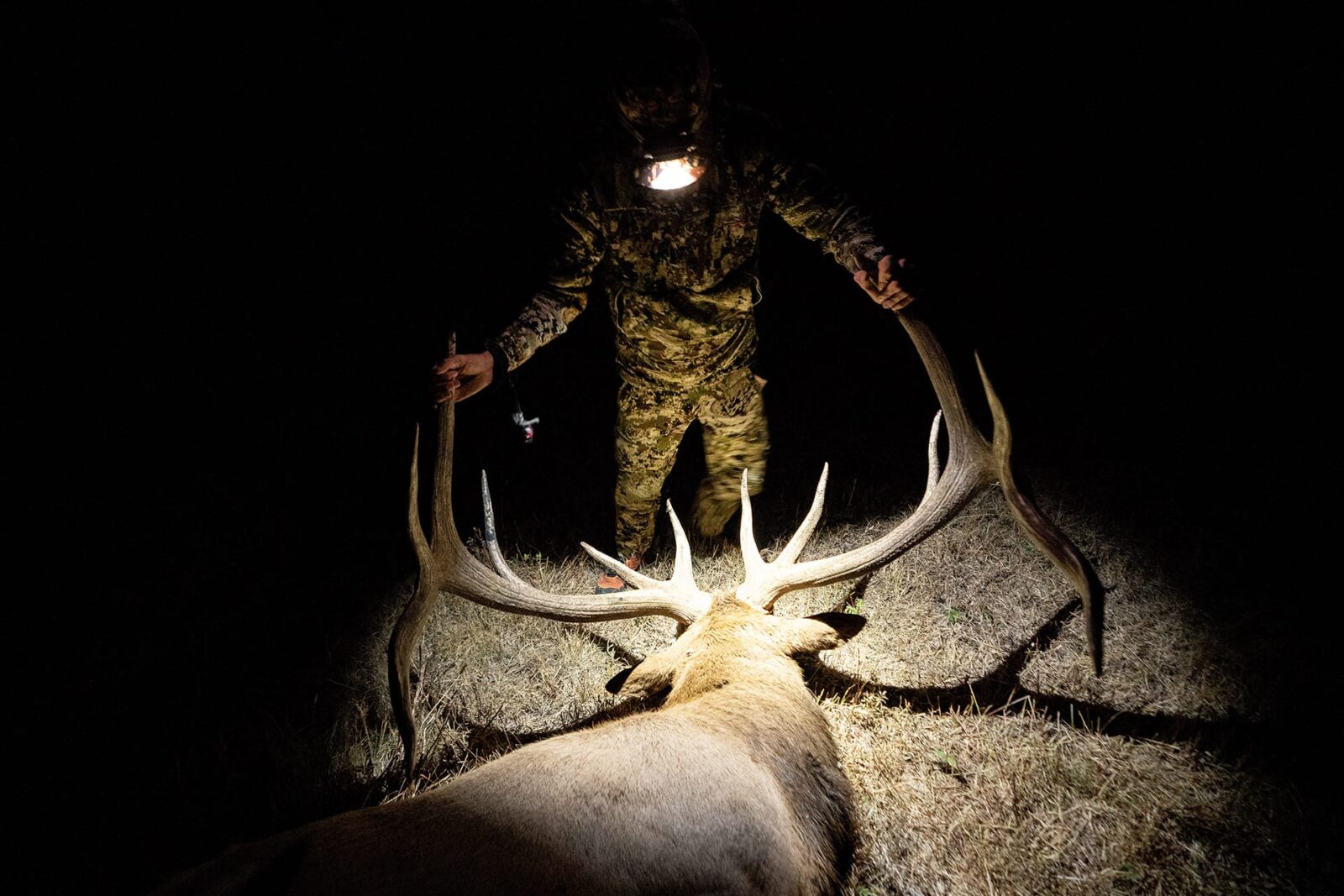 Wyoming: Best State for Affordable and Available Elk Hunts