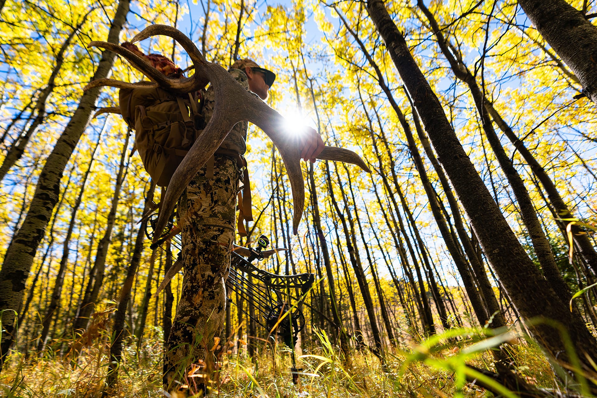Top States for Elk Hunting DataDriven Insights & Tips onX Hunt