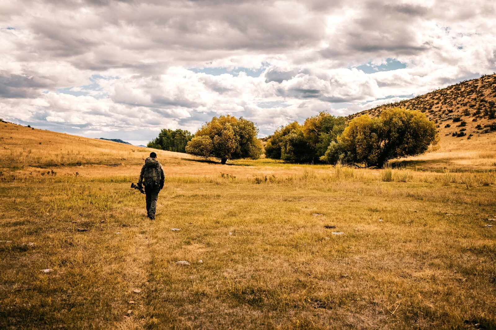 Hunter stalking a mule deer in an Idaho field 