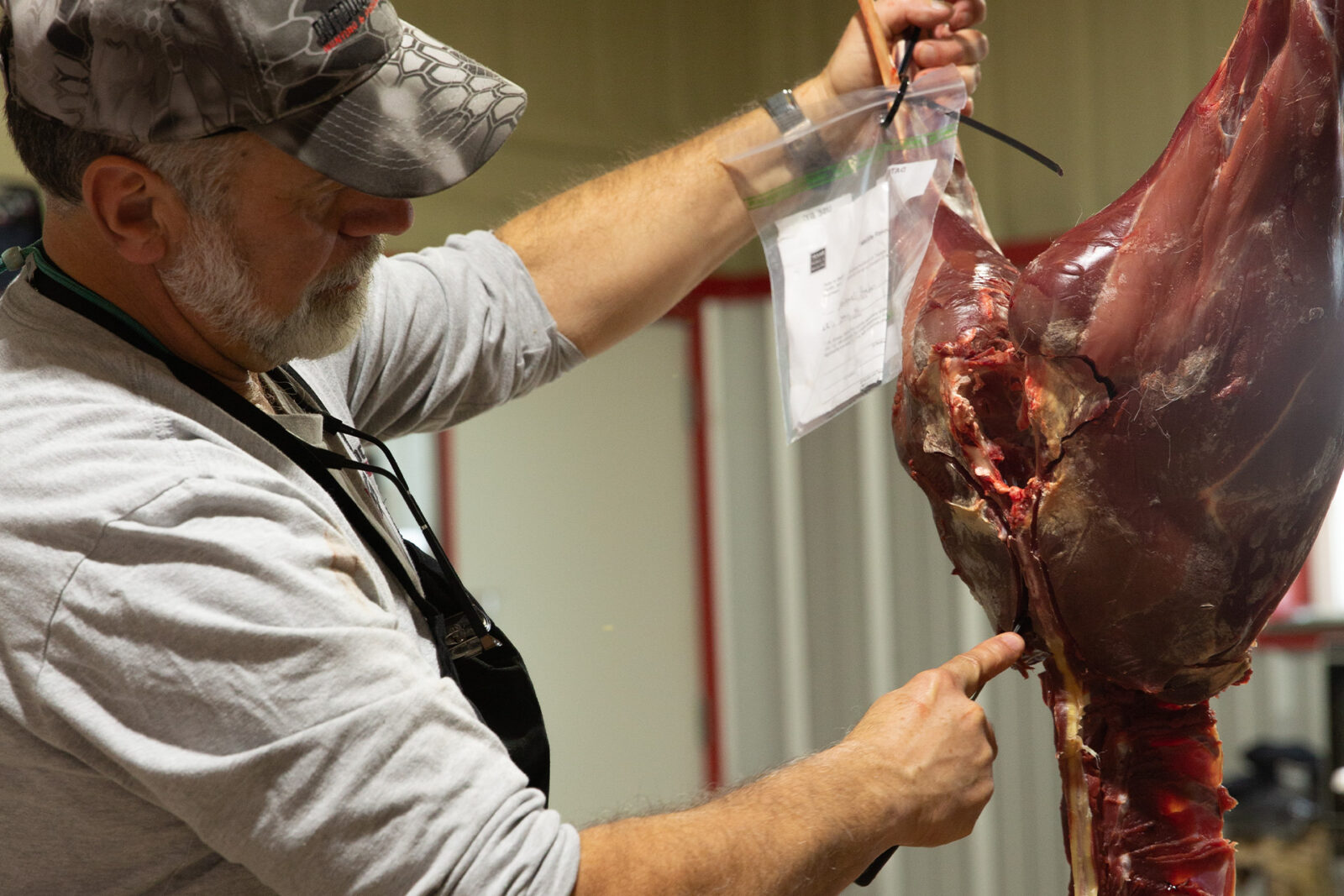 A butcher processes game meat.