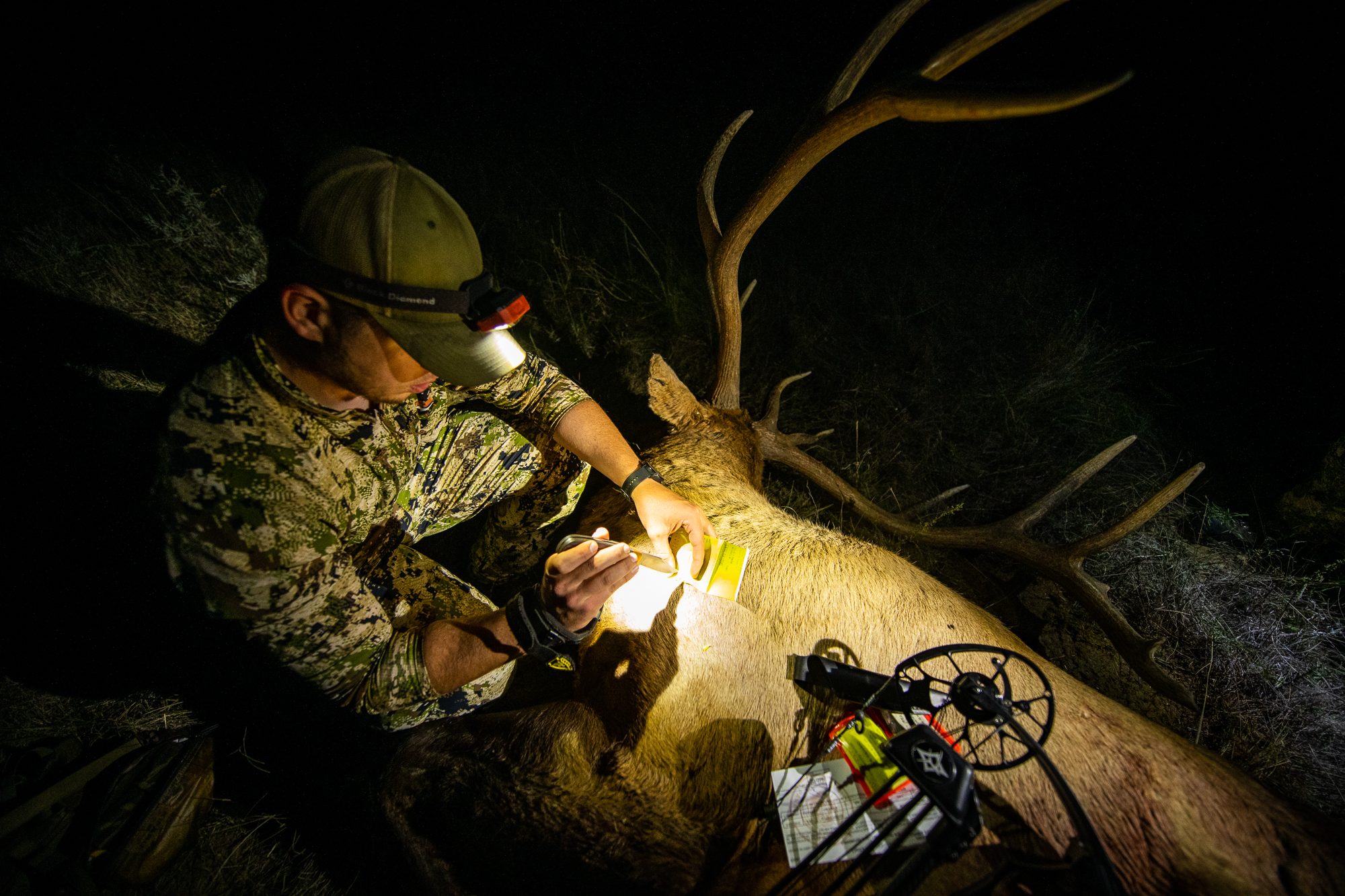 Chapter 1 : Getting Started with Elk Hunting background