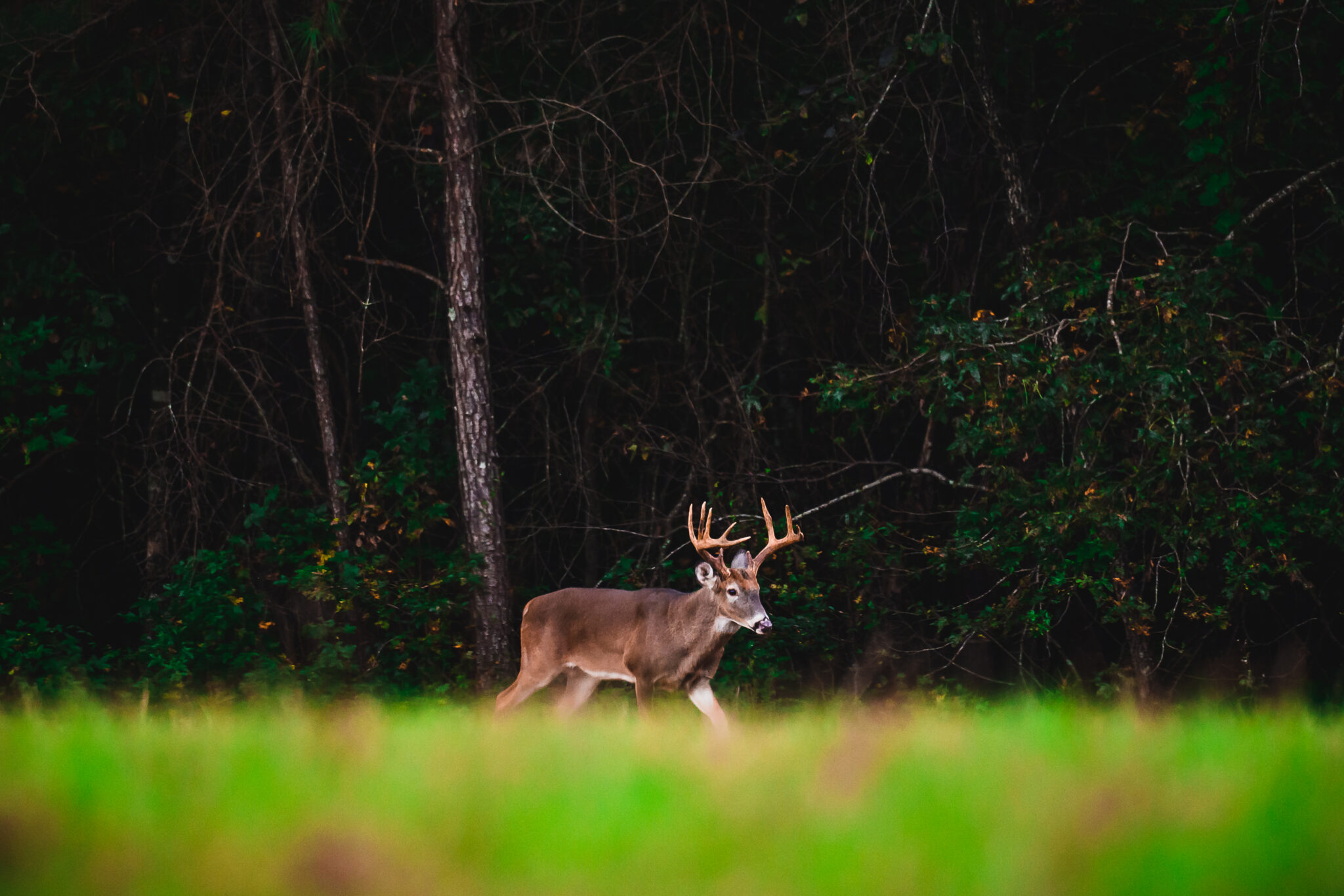 Hunting Zones Maps, Regulations & Land Access