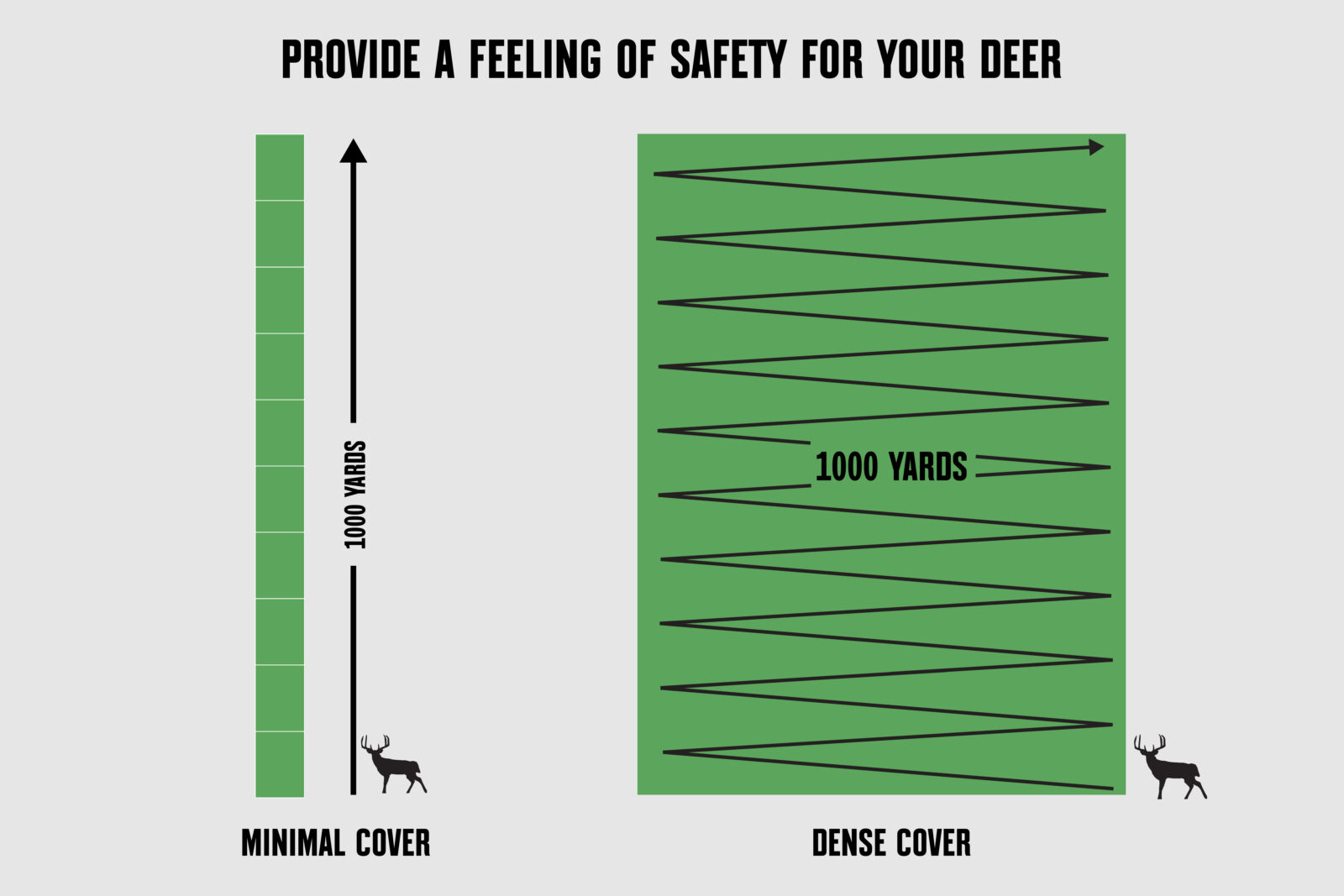 A diagram showing minimal cover vs. dense cover for deer. 