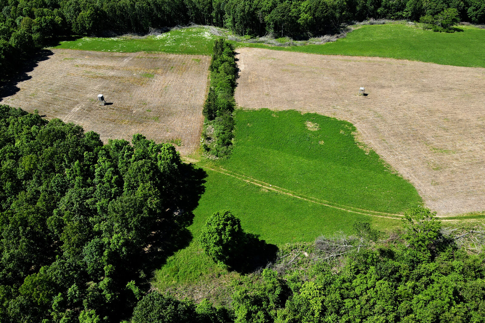 Aerial view of food plots.