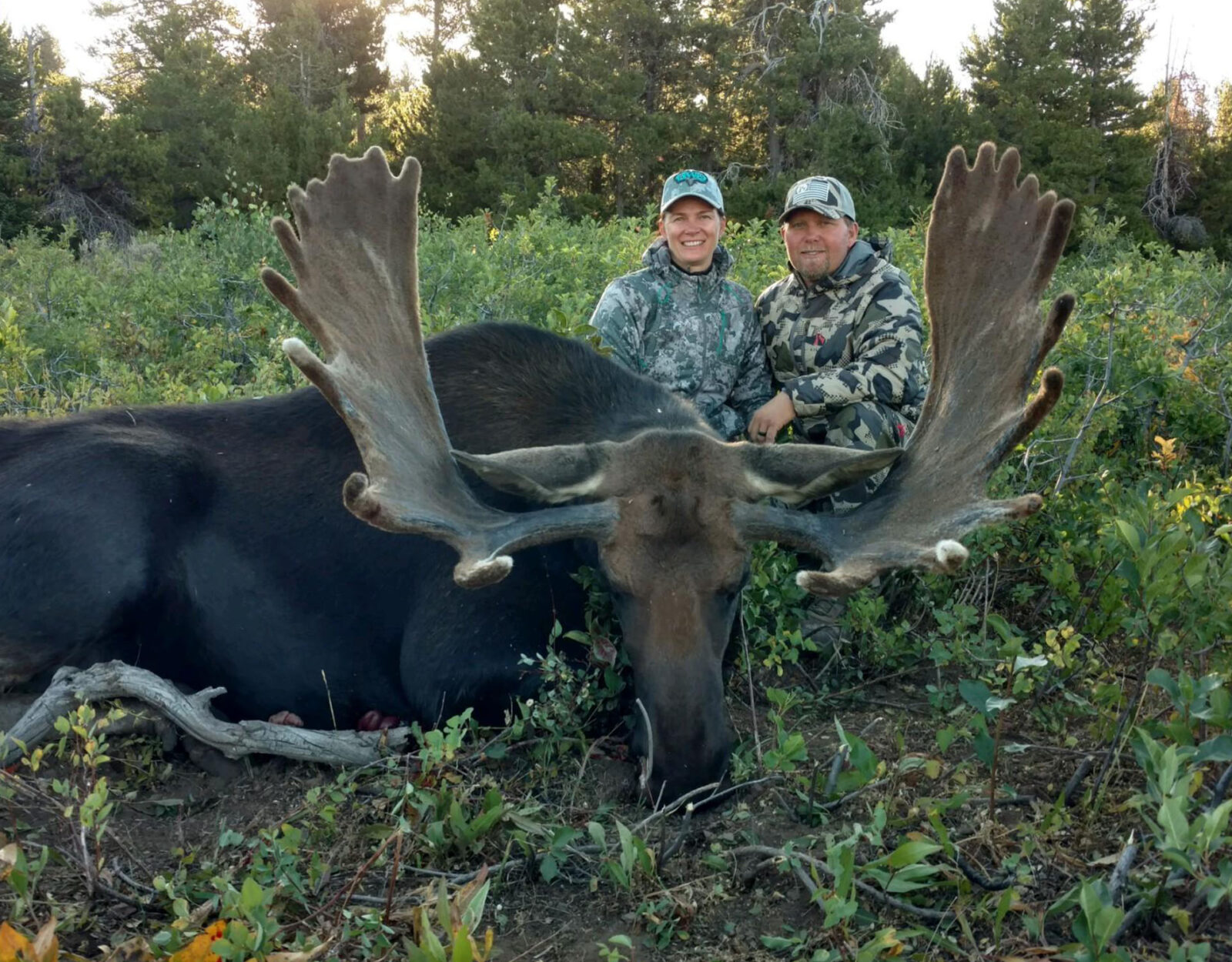Two hunters pose with the bull moose one of them harvested.