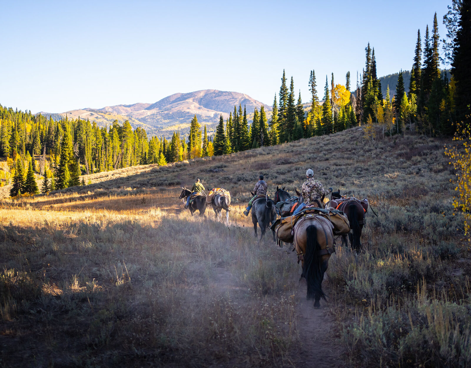 A pack train of horses moves along a single track in the mountains. Three of the horses carry horseback riders. 