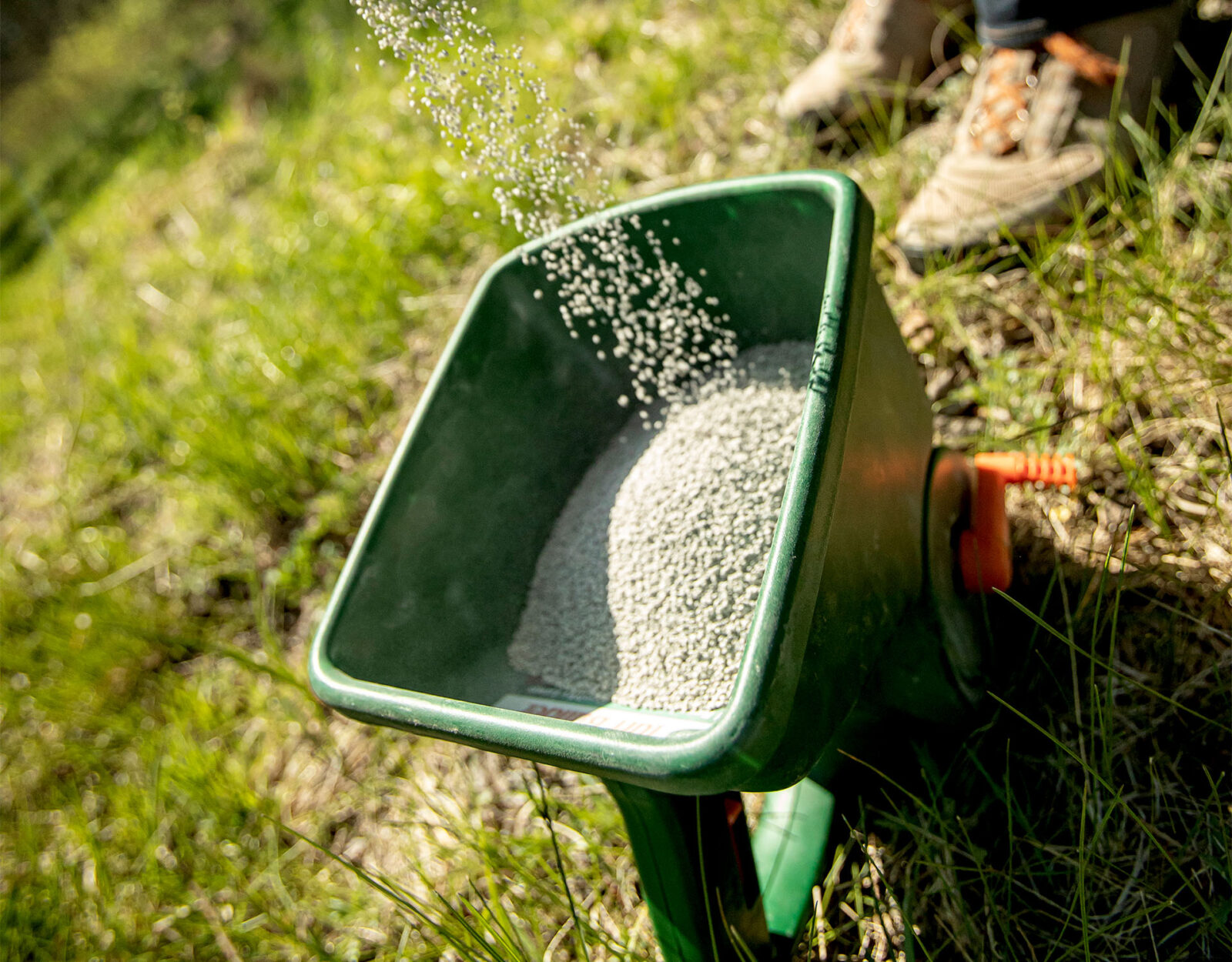 Fertilizer being poured into a fertilizer spreader.