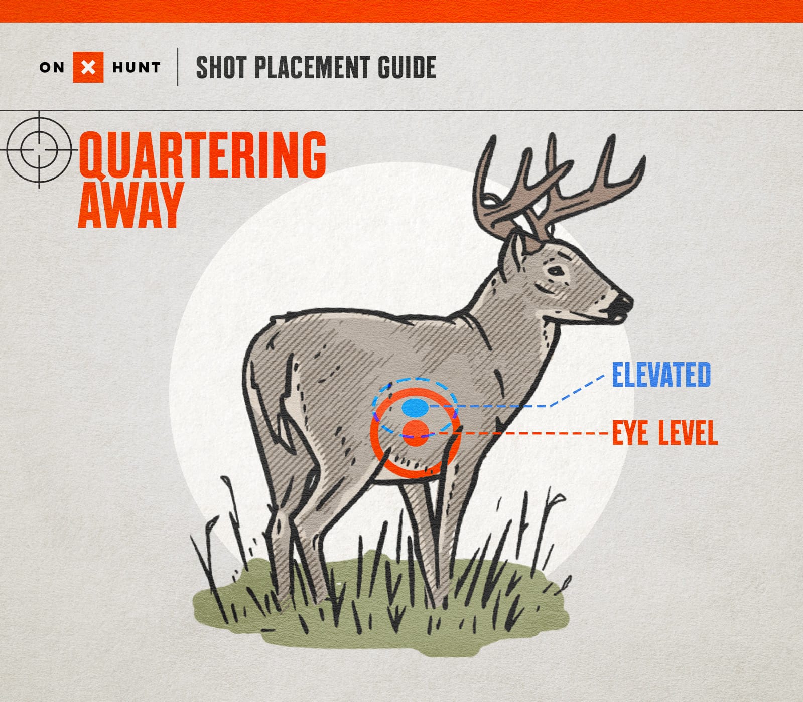 Deer Shot Placement Quartering Away - onX Hunt