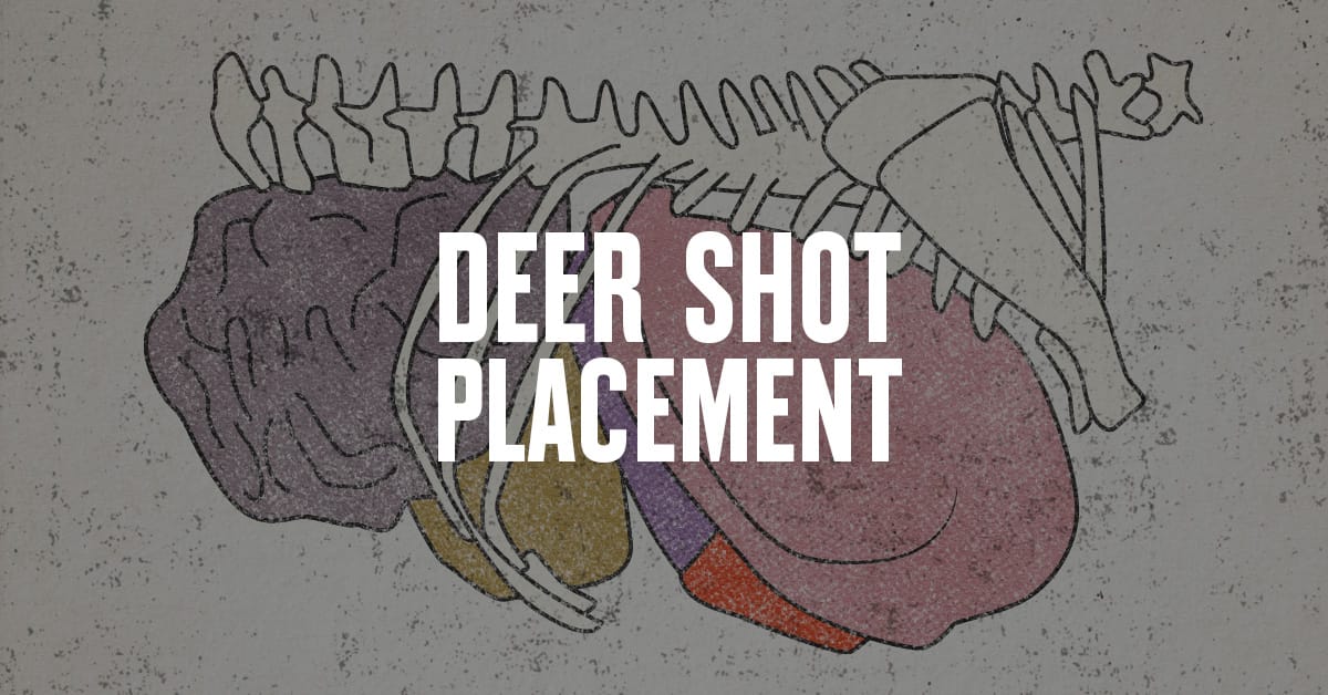 Where To Shoot A Deer Free Deer Shot Placement Chart Onx Hunt