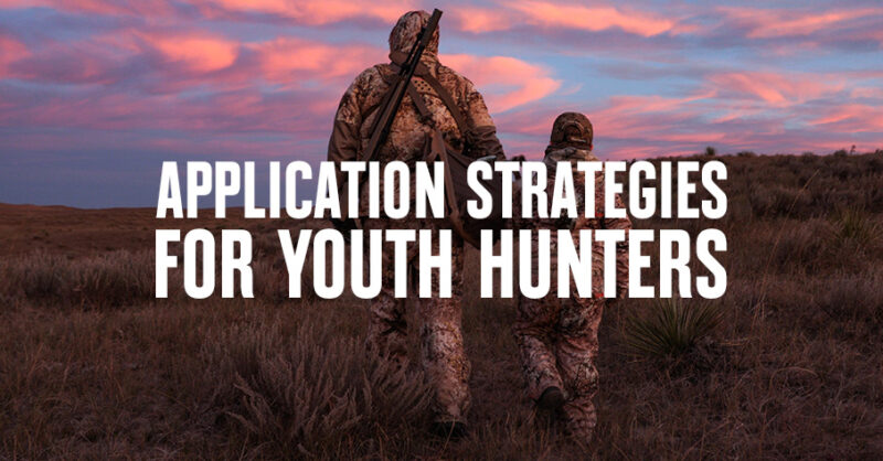 Youth Application Blog Featured