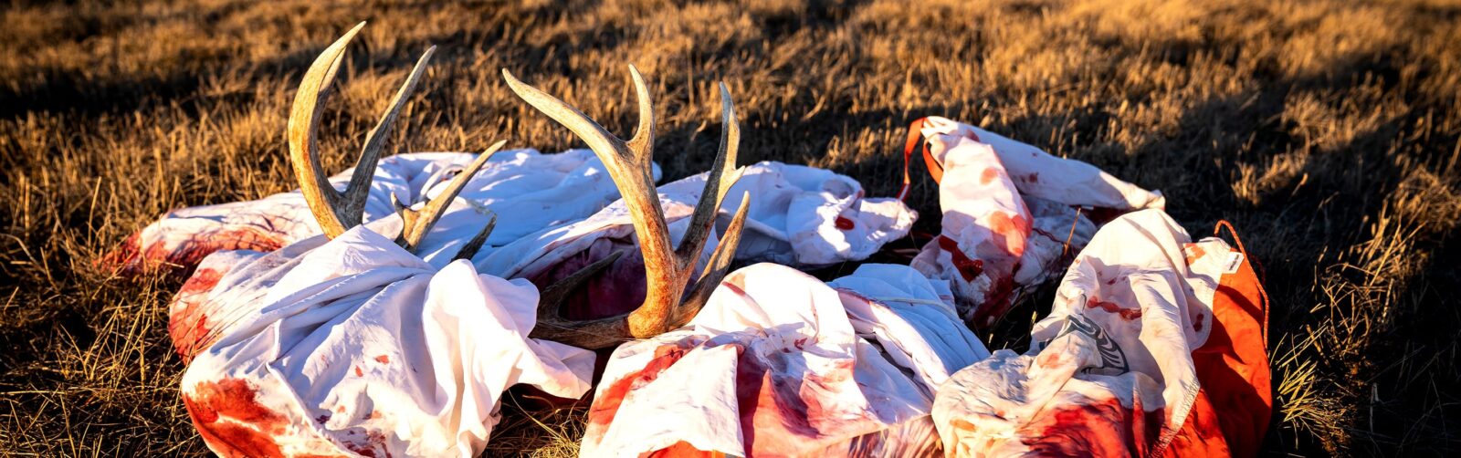 Aging Wild Game | onX Hunt