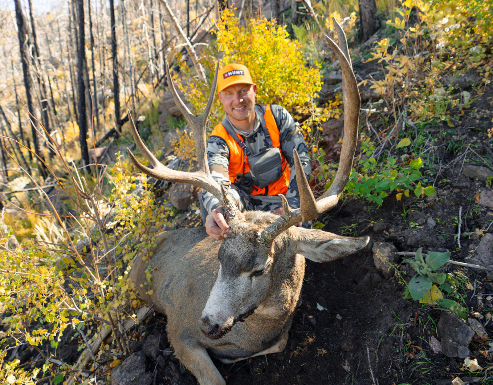 A hunter poses with the mule deer buck he harvested.