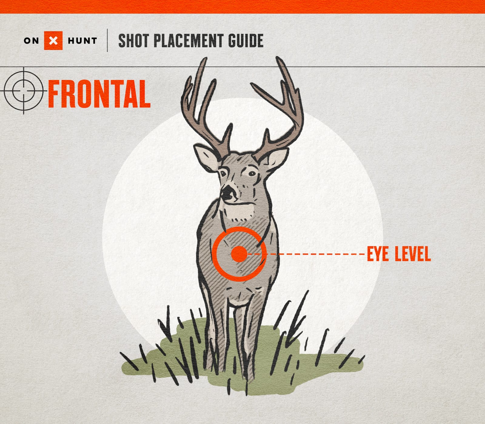Deer Shot Placement for Frontal Shot - onX Hunt
