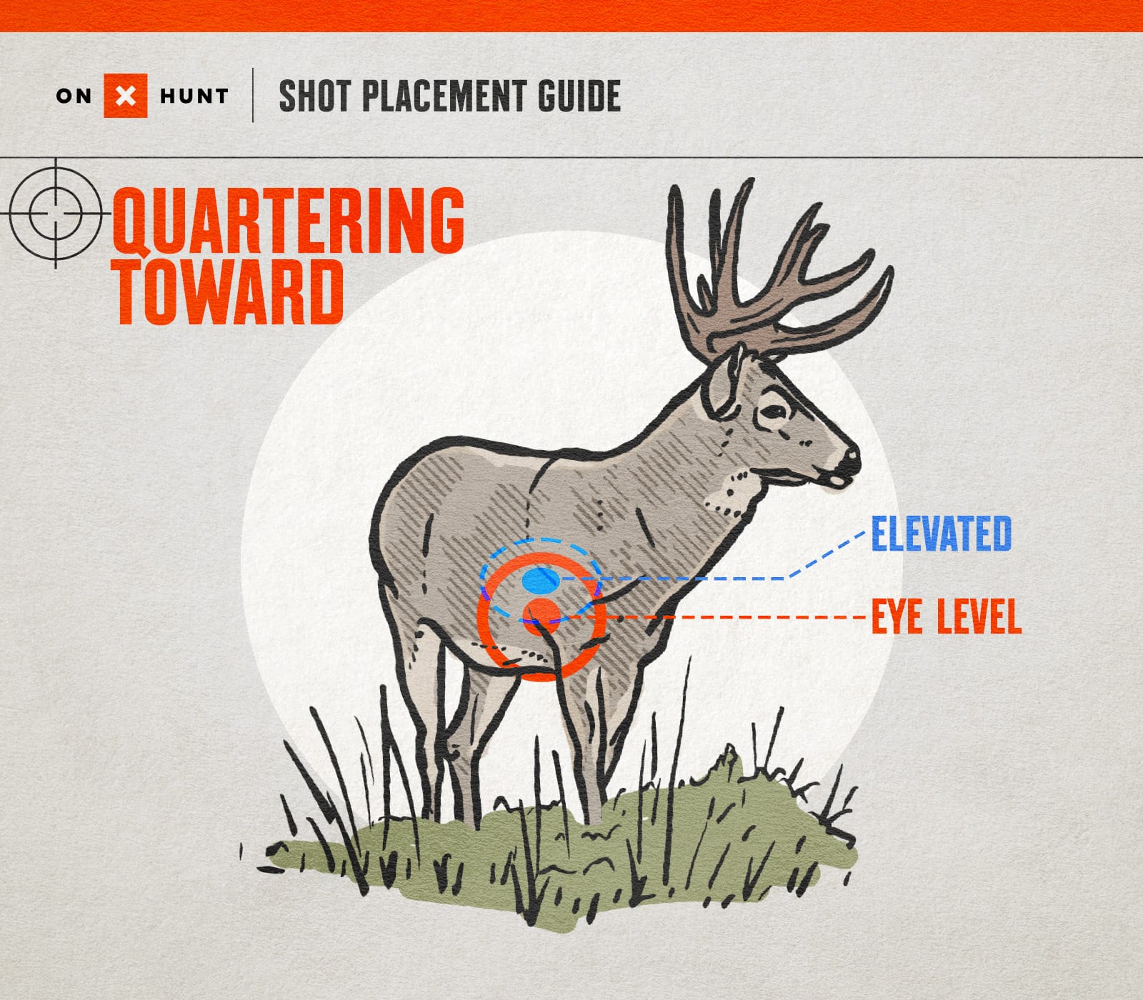 Deer Shot Placement - Quartering Toward - onX Hunt