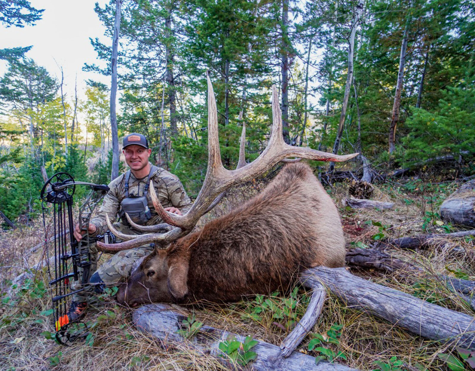 out of state elk shot with a bow from the huntin' fool 