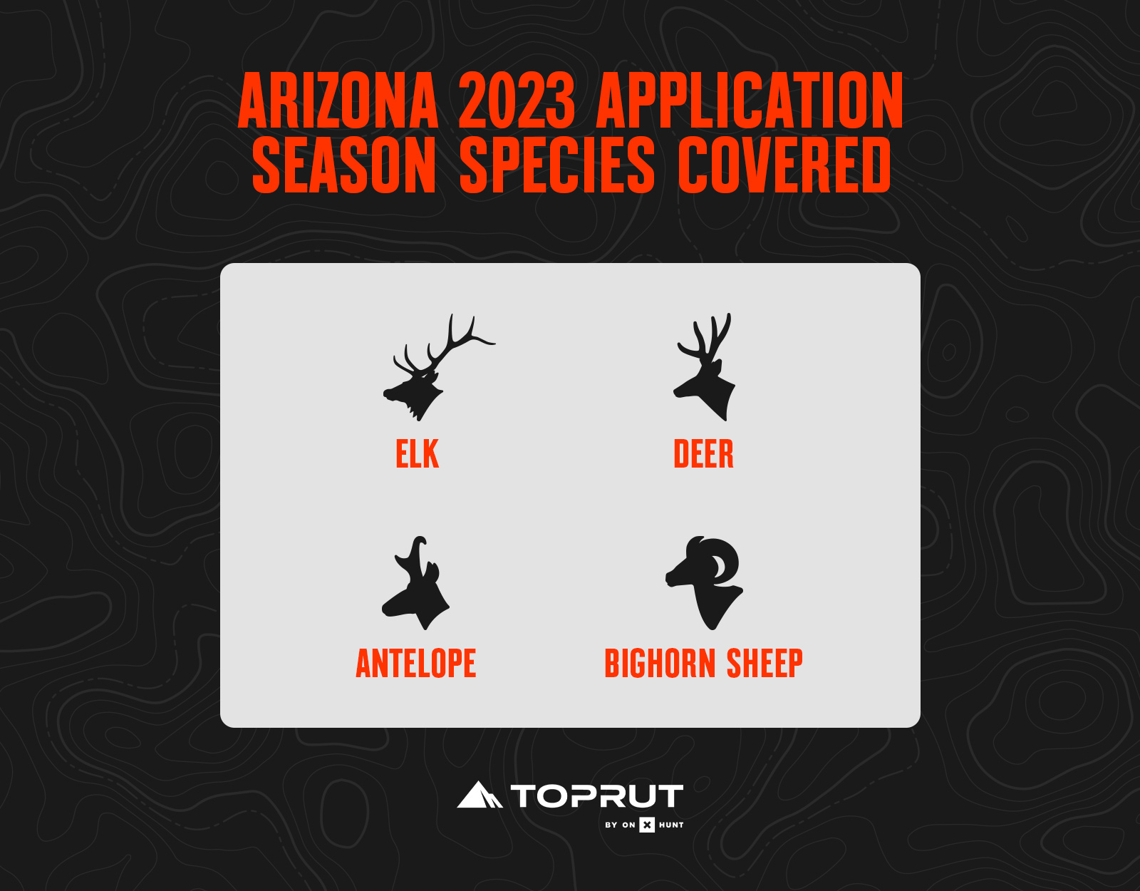 Arizona hunting application species for 2023 - elk, deer, antelope and bighorn sheep