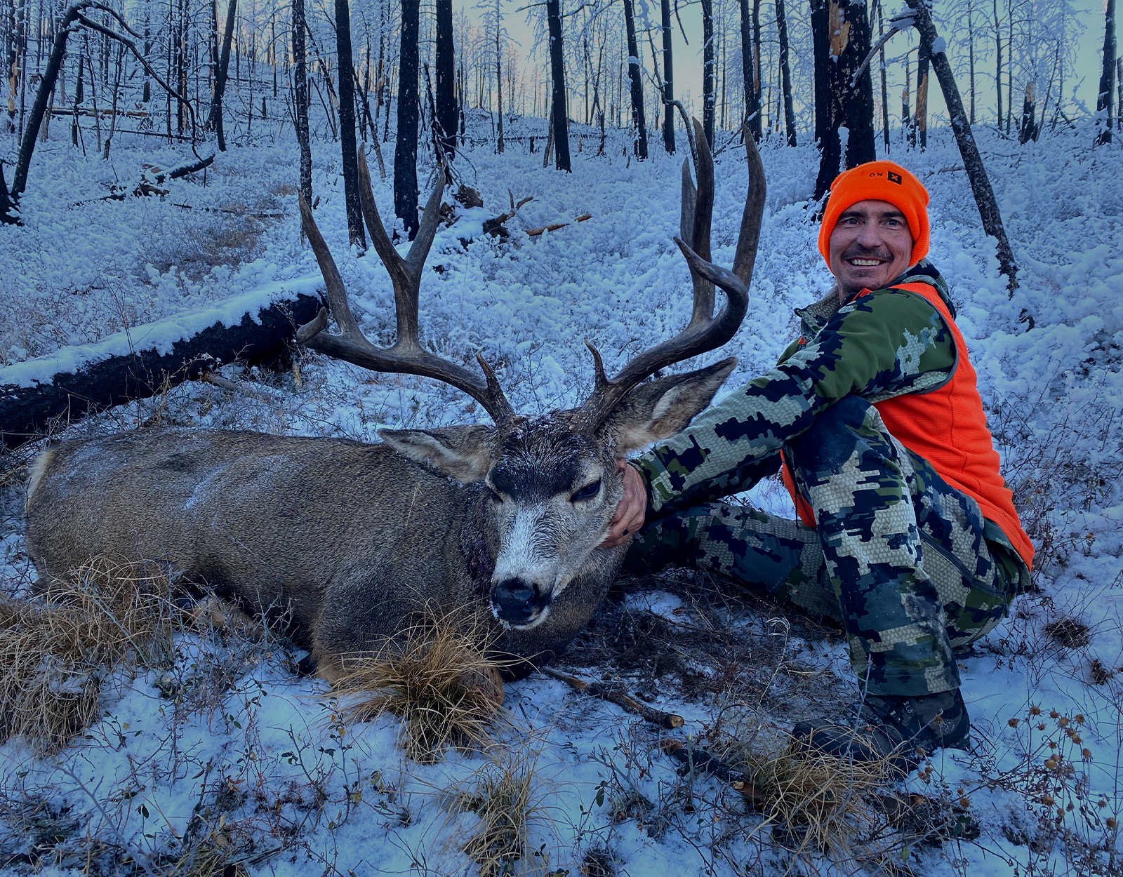 A hunter poses with a mule deer buck in snowy woods. 