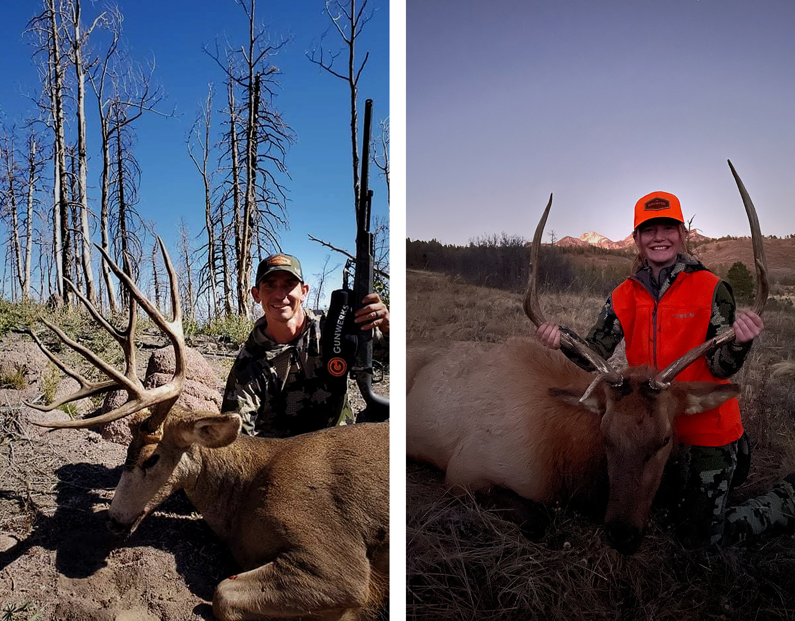 A side-by-side collage showing a male hunter posing with a mule deer buck and his rifle, and a female hunter in posing with a bull elk. 