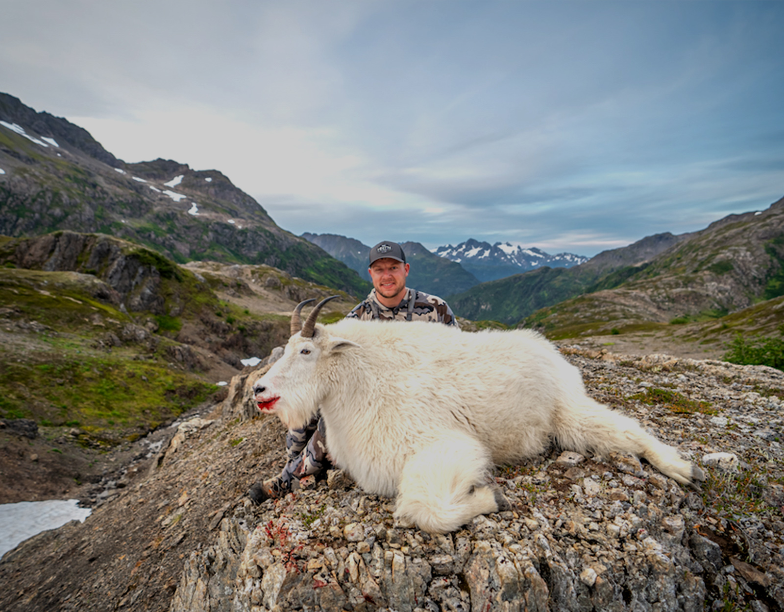 Unlimited mountain goat hunting tag in Montana 