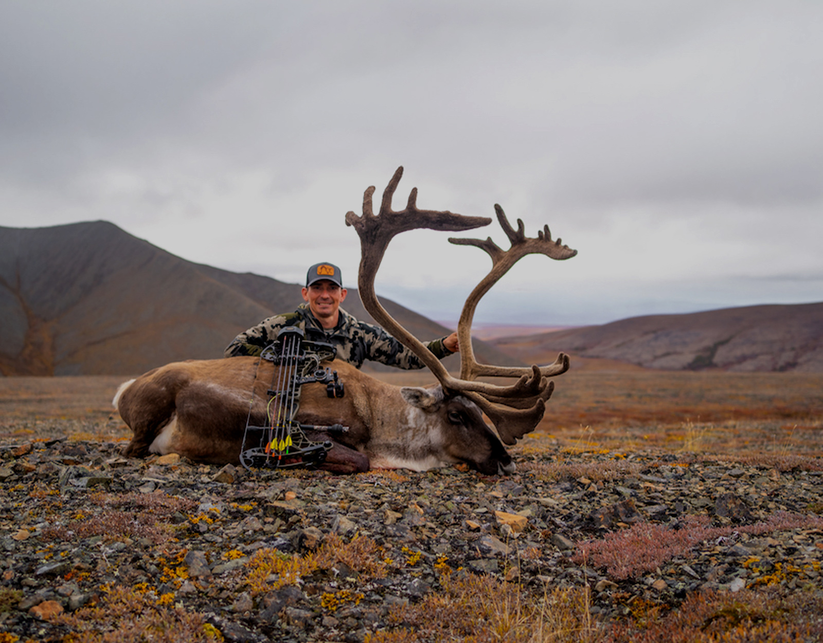 Caribou hunting tag with a bow