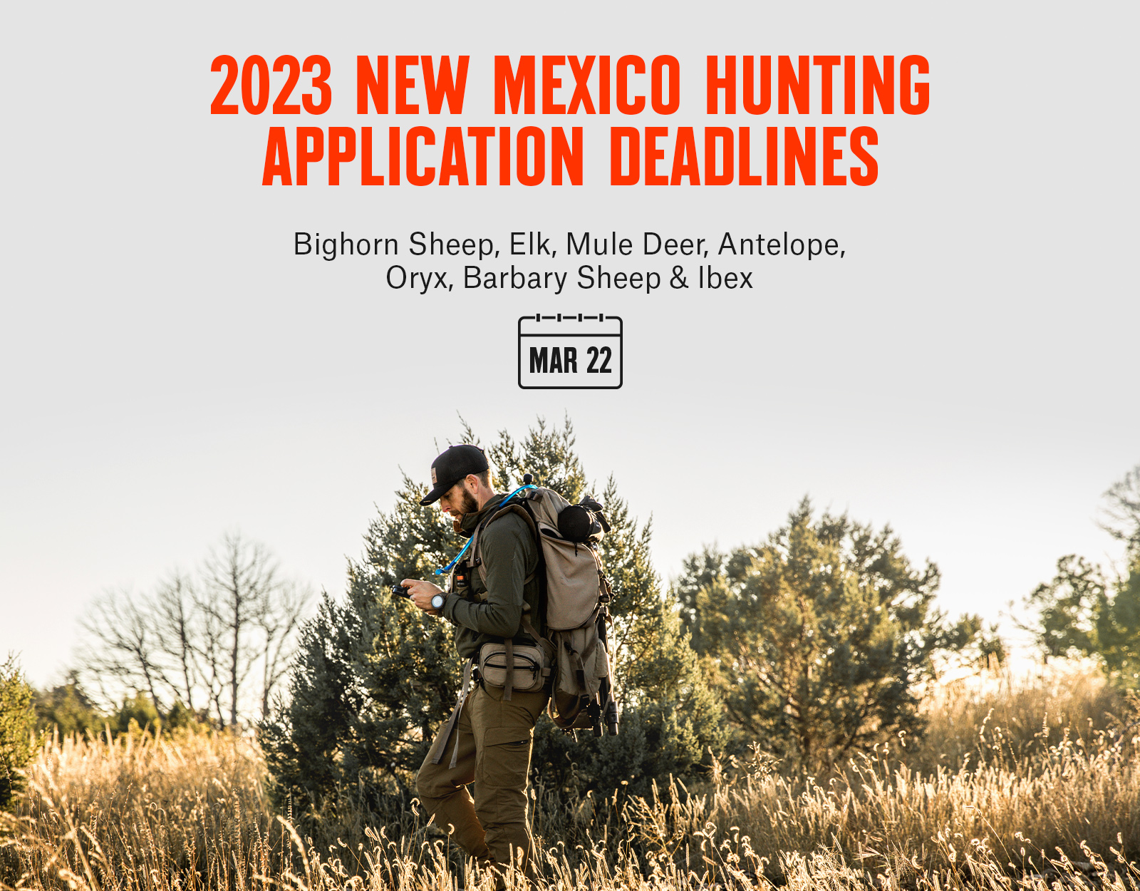 Hunting application deadlines for New Mexico
