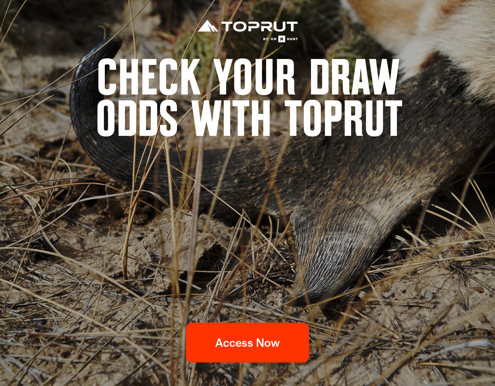 check your draw odds with TopRut