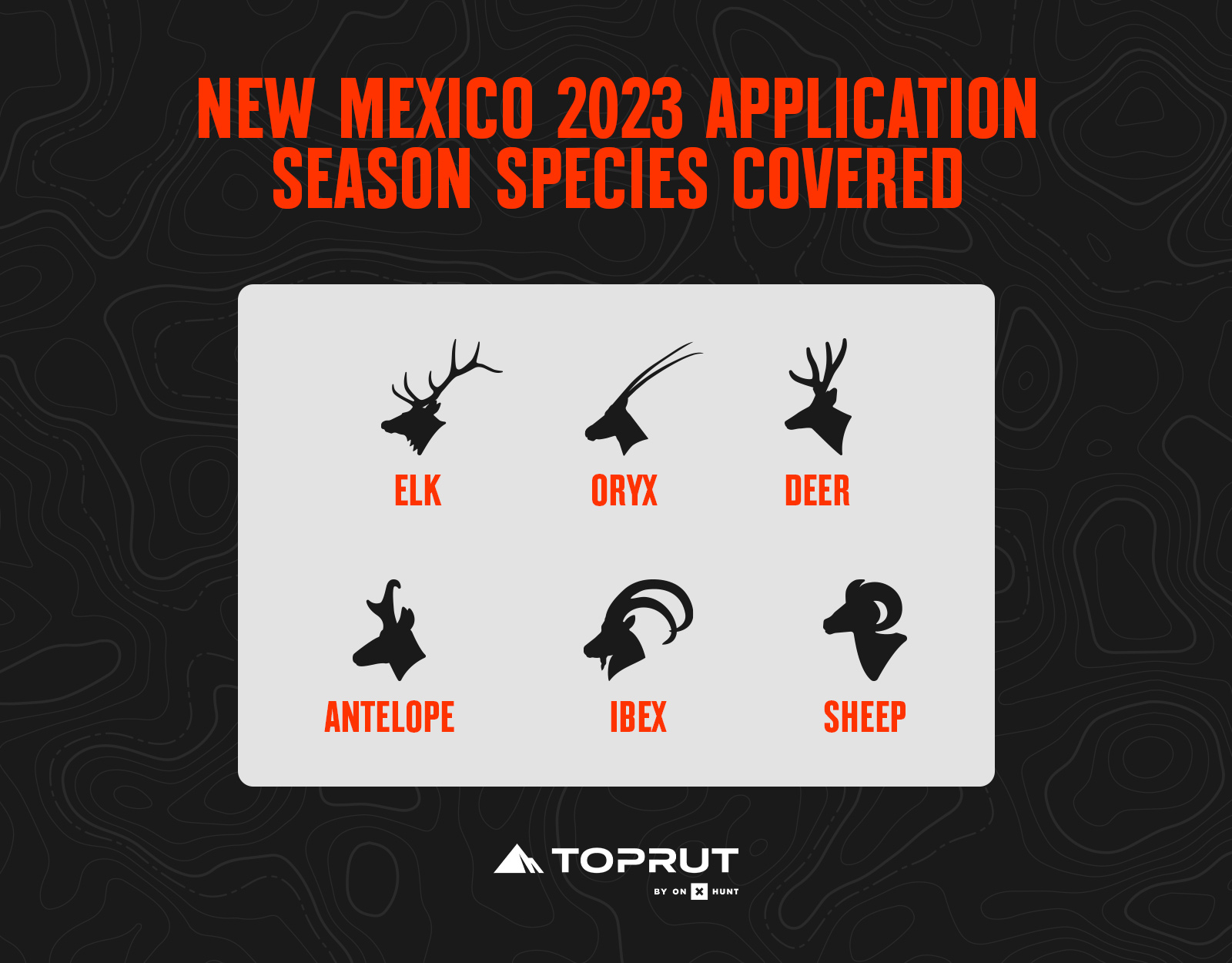 New Mexico hunting species for 2023