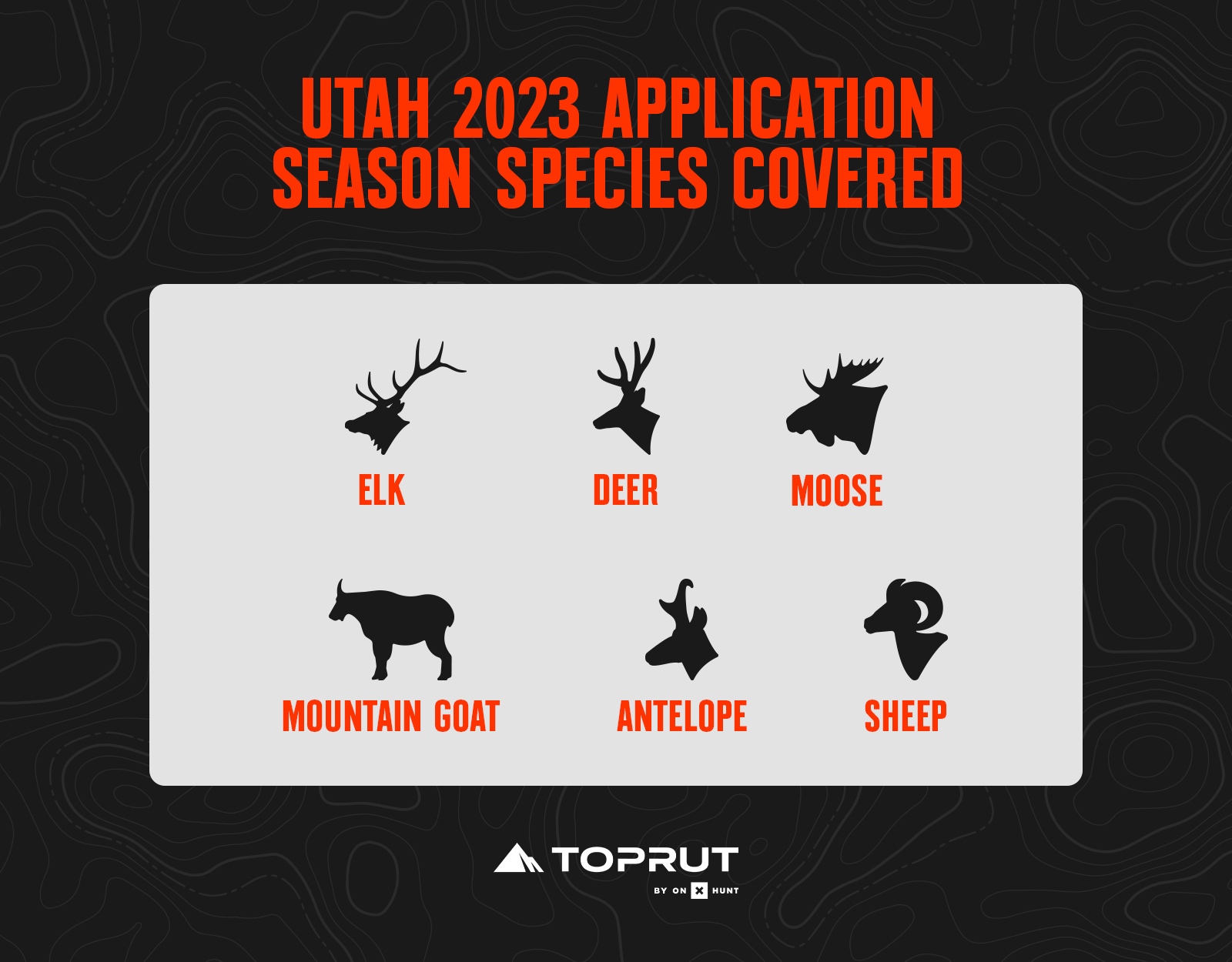 utah application season species 